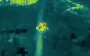 Defence forces have destroyed more than 6,000 Russian artillery systems since beginning of year, according to General Staff.. VIDEO