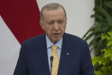 Разговор Эрдогана с Зеленским и Путиным: стало известно, о чем говорили лидеры