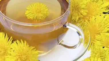 Что лечит чай из одуванчика