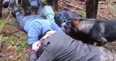 На Буковині пес допоміг затримати двох чоловіків, які намагались втекти до Румунії