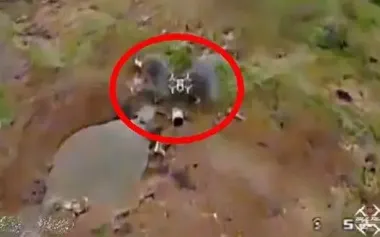 First combat use of drone with grenade launcher in Armed Forces of Ukraine. VIDEO