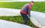 Майские заморозки ударили по урожаю? Какие культуры не выдержали холода