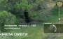 National Guard fighters destroy enemy howitzer targeting our positions and electronic warfare station. VIDEO