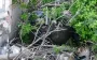 "Hostri Kartusy" record suicide of Russian soldier: occupier detonates grenade near Pokrovsk.. VIDEO