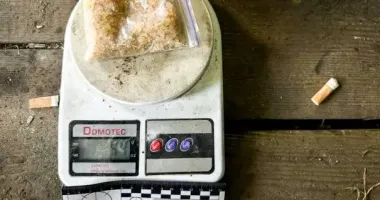 На Ровенщине разоблачили группу наркоторговцев: изъяли PVP, оружие и взрывчатку