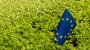 ЕС собирается ввести повышенные пошлины на импорт из Украины – FT