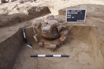 Им тысячи лет: археологи раскопали погребальные урны бронзового века в неповрежденном состоянии (фото)