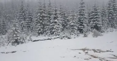 Прикордонники показали, яка погода зараз у Карпатах