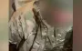 Posing as Ukrainian troops: Two ruscists captured on Kupiansk direction. VIDEO