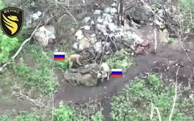 Defense Forces destroy APC, UAV command post, truck, communications equipment, shelters, and Russian checkpoint. VIDEO