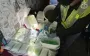 Правоохоронці знешкодили 7 наркоугруповань за добу