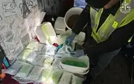 Правоохоронці знешкодили 7 наркоугруповань за добу