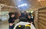 У Франції блискавка влучила у зоопарк: постраждали 13 людей