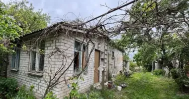 Ворожий обстріл Київщини: уламки БпЛА пошкодили будинки