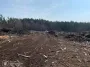 Мусор на 1,6 миллиона: в Житомирской области лесной филиал засорил землю и должен заплатить