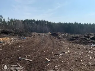 Сміття на 1,6 мільйона: у Житомирській області лісова філія засмітила землю і має заплатити
