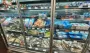 Кило уже по 210 грн: супермаркеты резко изменили цены на селедку, карпа и скумбрию