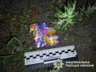 Киевлянин запустил салют из окна квартиры: какое наказание ждет нарушителя