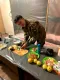 Российские медиа "похоронили" Надежду Савченко: ее сестра отреагировала