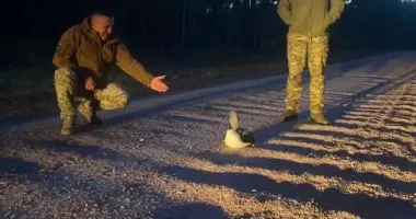 В Житомирской области пограничники помогли редкой птице гагаре