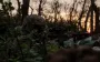 145 clashes at front per day, third of them in Pokrovsk direction - General Staff