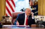 Трамп анонсировал судьбоносные телефонные переговоры с Путиным и Зеленским