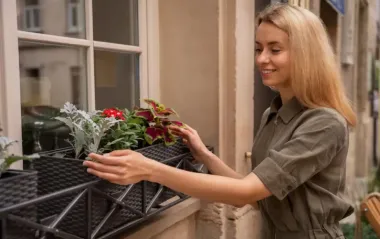 5 красивих рослин для балкона, які не треба поливати: ідеально для лінивих!