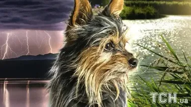 Погода в Украине готовит сюрпризы: чего ожидать