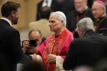 Pope Leo XIV and JD Vance meet ahead of US-led diplomatic flurry to reach ceasefire in Ukraine
