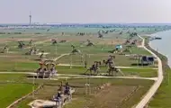 Ціни на нафту знижуються на новинах зі США і Китаю