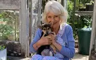 Королева Камілла взяла нового улюбленця з притулку
