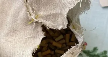 До 7 років позбавлення волі загрожує жителю Тернопільщини за зберігання артилерійського пороху