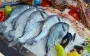 Рыба по цене мяса: в Украине подорожала даже самая доступная рыба