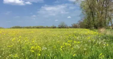 В Україну йде різке потепління до +25 градусів
