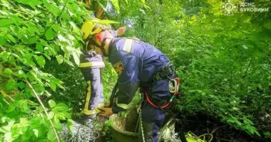 У Чернівцях врятували песика, який впав у колодязь