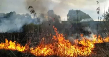 На Рівненщині – понад 65 пожеж в екосистемах від початку травня