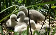 Праздники 21 мая 2025 года: именины, приметы