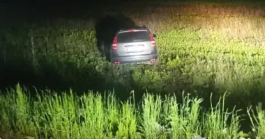 На Буковині легковик вилетів з дороги в кювет: є постраждала