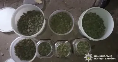 Поліцейські вилучили у жителя Одещини понад 5 кг канабісу: що йому загрожує