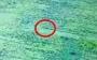 Russian motorized assault trooper gets caught in wire snare trap at full speed and goes flying over handlebars. VIDEO