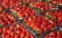 В Украине обнаружили ядовитую клубнику: где она продавалась