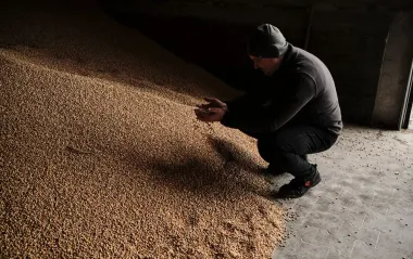 Європарламент схвалив загороджувальні мита на добрива та агропродукцію з РФ і Білорусі