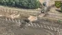 Боевые действия продолжаются: в Defense Express рассказали о ситуации на Курщине (видео)