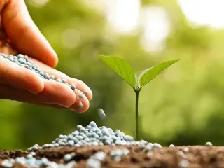 The European Parliament approved new duties on fertilizers and agricultural products from Russia and Belarus