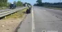 Збив на смерть та втік: на Житомирщині затримали водія, який вчинив смертельну ДТП