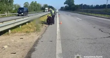 Збив на смерть та втік: на Житомирщині затримали водія, який вчинив смертельну ДТП