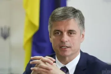 Зустріч Зеленського з Путіним не на часі — Пристайко