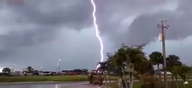 Деревья, которые не стоит сажать в саду, потому что они притягивают молнию