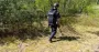 На Ровенщине в лесу обезвредили боеприпас Второй мировой войны