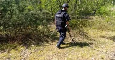 На Ровенщине в лесу обезвредили боеприпас Второй мировой войны